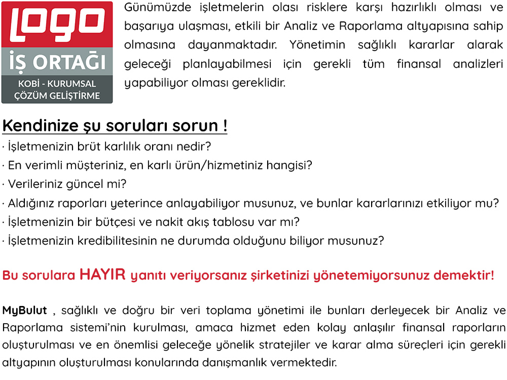 Logo ERP Proje & Danışmanlık